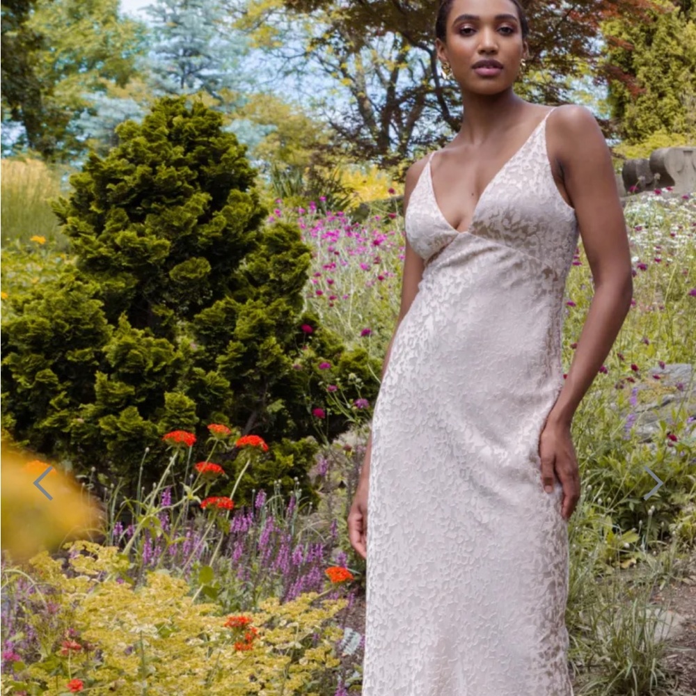 Jenny Yoo Gabriela Dress in Prosecco Size 12